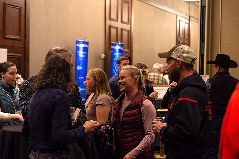Networking at the conference