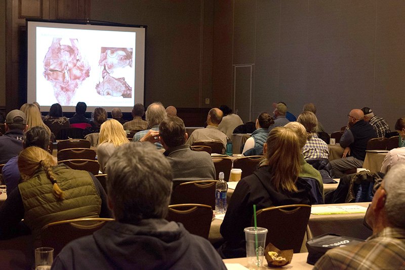 Seminar room at the Lake Tahoe Equine Conference